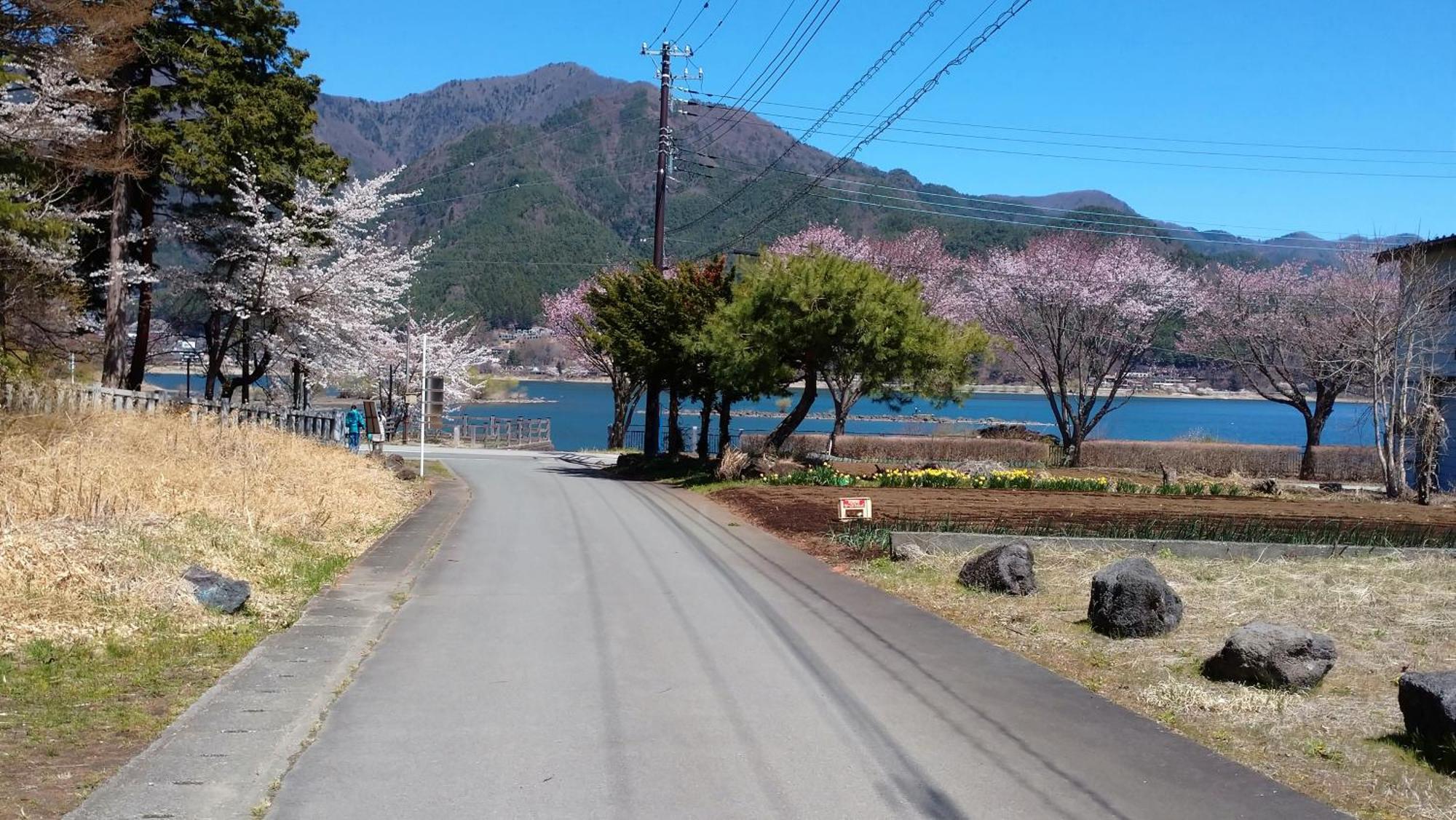 Nishimiyasou Hotel Fujikawaguchiko Bagian luar foto