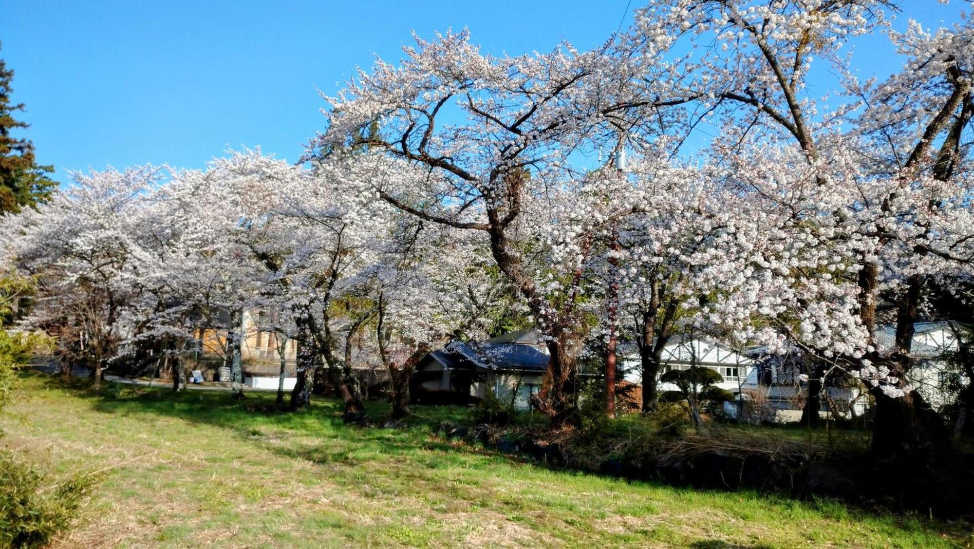 Nishimiyasou Hotel Fujikawaguchiko Bagian luar foto