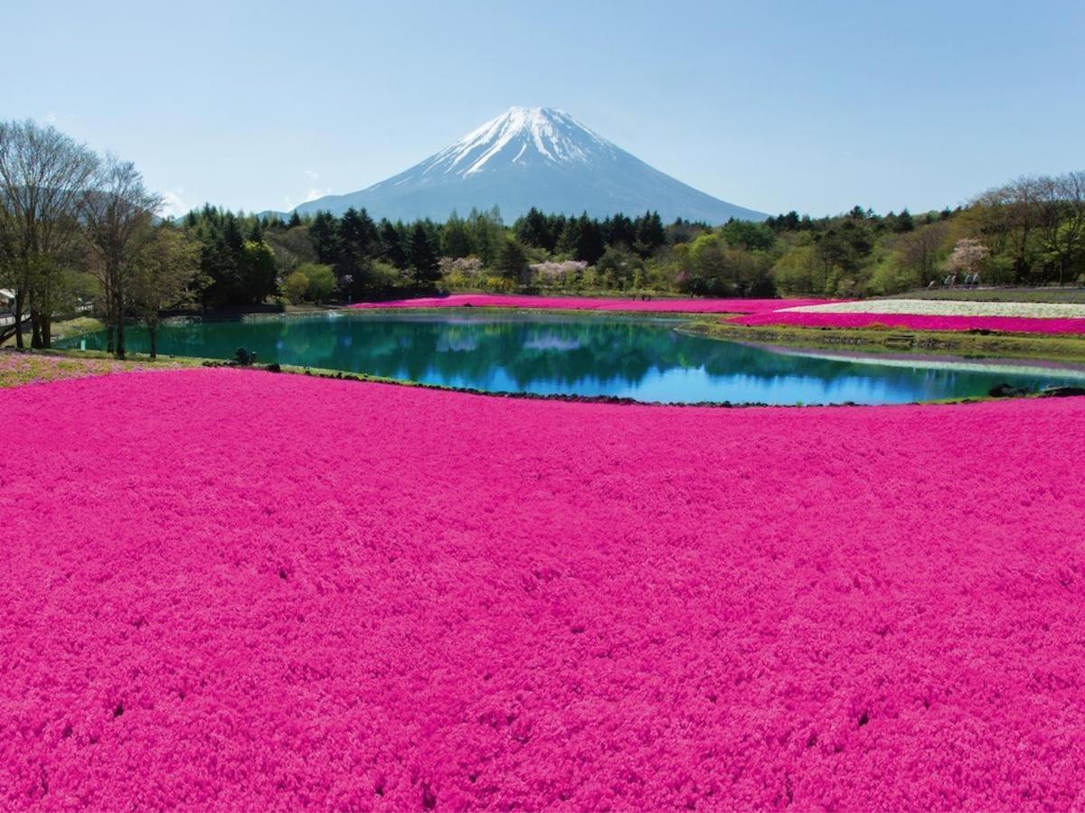 Nishimiyasou Hotel Fujikawaguchiko Bagian luar foto